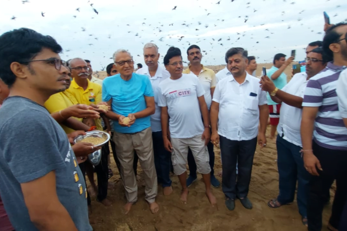 Diwan Madhvshing at marren beach channai Dharmaguru Diwan Madhav Singh distributed grains to pigeons on Marina Beach